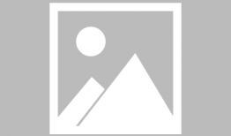 漫画子宫,孕育生命的神秘殿堂